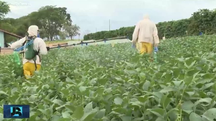 Oferta de fertilizantes deve ter queda no mercado mundial por causa da guerra no Oriente Médio