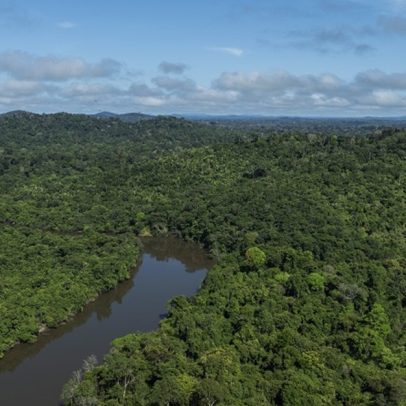 Entidade solicita ao STF validação da Lei Geral de Licenciamento Ambiental