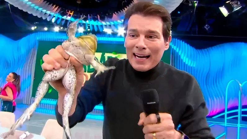 Juíza fixa regras ao SBT para uso de animais após caso de rã - Migalhas