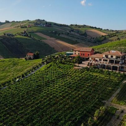 18 vinhos Cerasuolo d’Abruzzo recomendados por especialistas