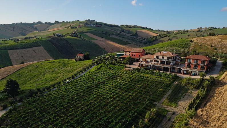 18 vinhos Cerasuolo d’Abruzzo recomendados por especialistas