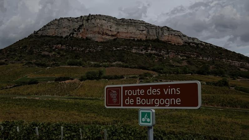 Champagne house Louis Roederer has begun exclusive negotiations to acquire Domaine Pierre Damoy in Gevrey Chambertin. The move forms part of a broader strategy to expand beyond sparkling wine into still wine and wider luxury activities.