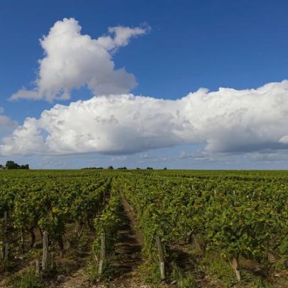 Desempenho de preços de Bordeaux e o tamanho do desafio pela frente