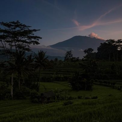Terroir tropical: os bastidores da emergente cena de vinhos de Bali