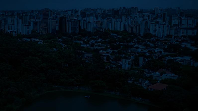 Parque Ibirapuera | Reprodução/Redes sociais