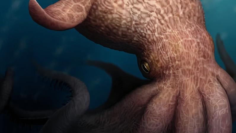 Registros fósseis de 100 milhões de anos atrás indicam que polvos tinham não apenas tamanho, mas também funções cerebrais mais desenvolvidas que outros invertebrados