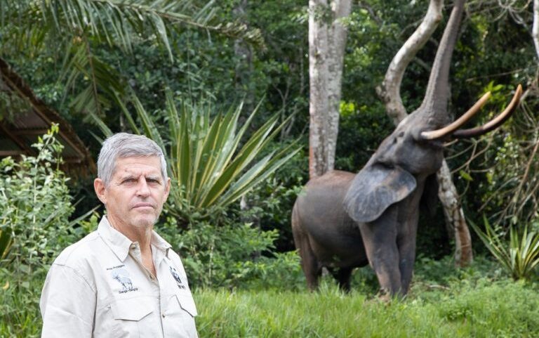 Luis Arranz became the co-director of Salonga National Park in the DRC in 2022. Despite the size of the task, he comes across as undaunted. “I like difficult missions,” Arranz told Mongabay. Image courtesy of Luis Arranz.