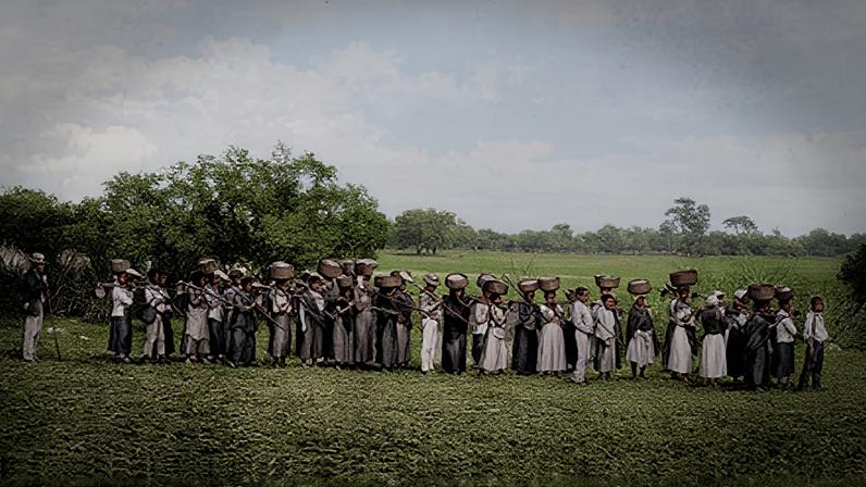 São Paulo (SP) - FOTO DE ARQUIVO - Empresários que apoiaram a ditadura. Escravizados Partindo para o Trabalho na Roça, Rio de Janeiro, 1858. Foto: Victor Frond/Acervo Itaú Cultural