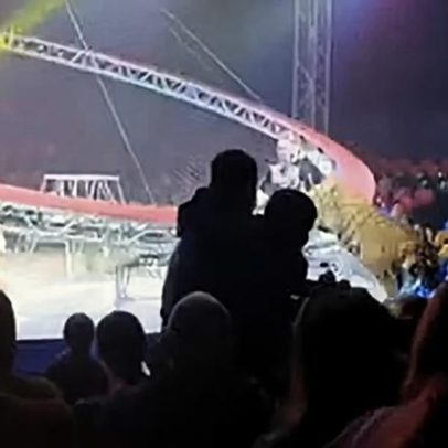 Tigre salta em direção à plateia após queda de grade em circo na Rússia