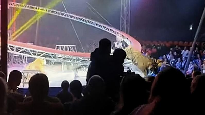 Tigre foge durante apresentação na Rússia — Foto: Reprodução/161ru