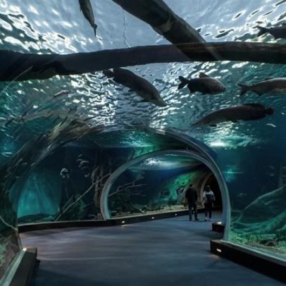 Brasil sedia o maior aquário de água doce do mundo com 5 milhões de litros
