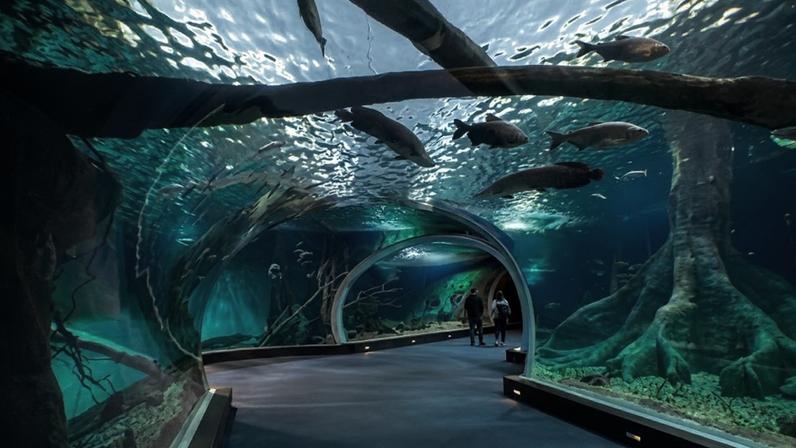 Brasil sedia o maior aquário de água doce do mundo com 5 milhões de litros