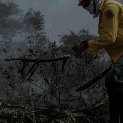 Calor extremo no Brasil 2023-2024 evidencia riscos à segurança alimentar