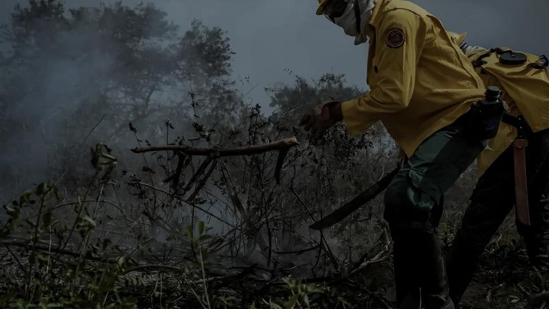 Incêndios atingindo o Pantanal (Foto: Christiano Antonucci/Secom-MT)