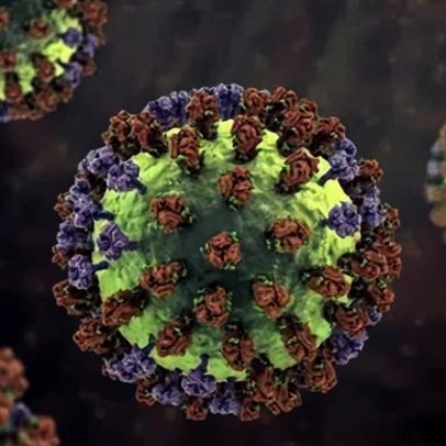 Descoberta revela vírus que afeta 95% da população