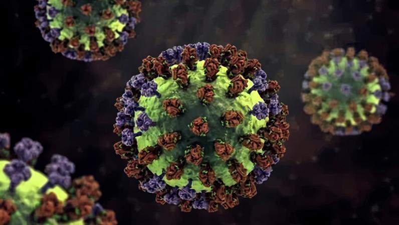 Uma das dificuldades encontradas pelos cientistas é identificar anticorpos não humanos que não desencadeiem uma reação imunológica no organismo