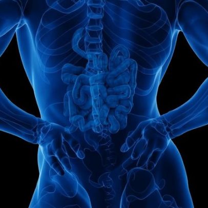 Infectologista aponta impactos de vermes no intestino