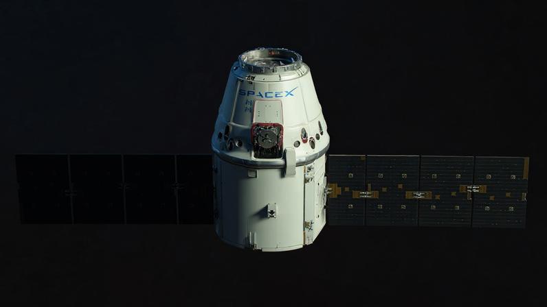 NOVA ÓRBITA - Cápsula Dragon da SpaceX: parceria com a Nasa - (SpaceX/Divulgação)