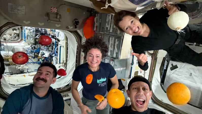You are on the International Space Station! You can play with your food! Clockwise from left: NASA astronauts Jack Hathaway and Jessica Meir, ESA (European Space Agency) astronaut Sophie Adenot, and NASA astronaut Chris Williams— all Expedition 74 flight engineers—celebrate a shipment of fresh food, including oranges, apples, onions, and peppers, delivered aboard Northrop Grumman’s Cygnus XL cargo spacecraft.