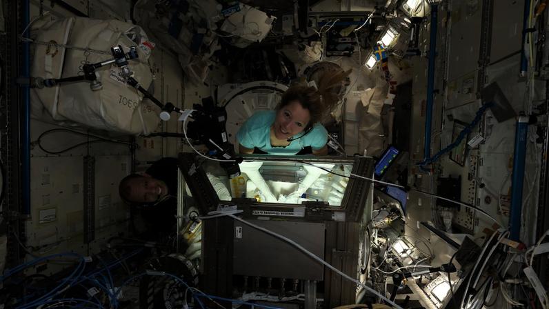 Astronauts Chris Williams of NASA and Sophie Adenot of ESA work together in the Kibo laboratory module’s Life Science Glovebox, processing genetic-material samples for the DNA Nano Therapeutics‑3 experiment.