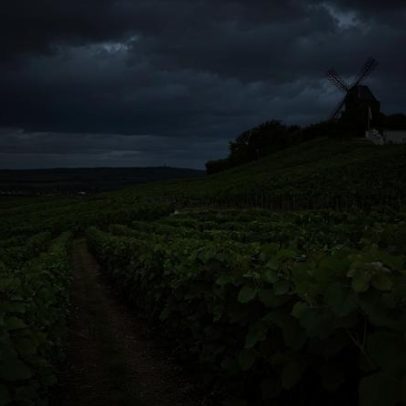 Champagne Report: as duas faces da Montagne de Reims