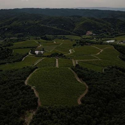 Selvanella: pioneira do Chianti Classico