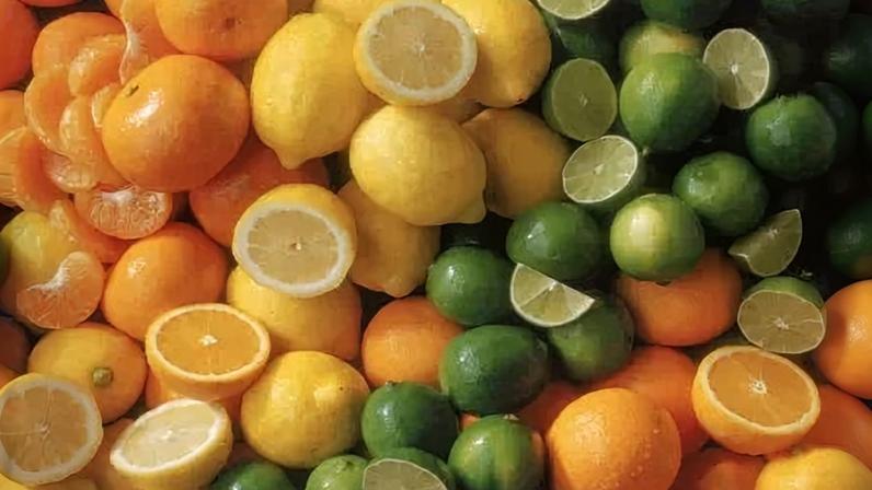 Limão caviar tem produção limitada e mercado restrito, voltado principalmente a chefs e restaurantes