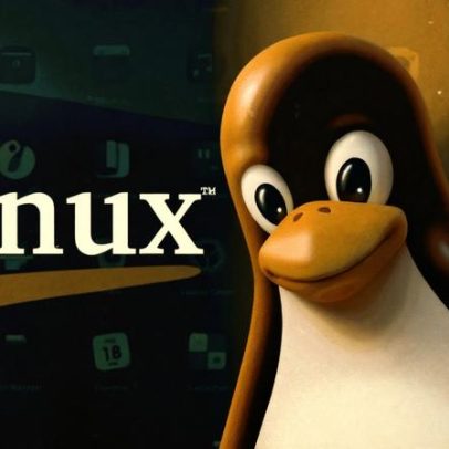 O que é Linux e por que o código aberto importa