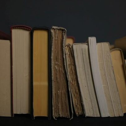 MEC Livros entre as obras mais lidas incluem Crime e Castigo, A Vegetariana e Harry Potter
