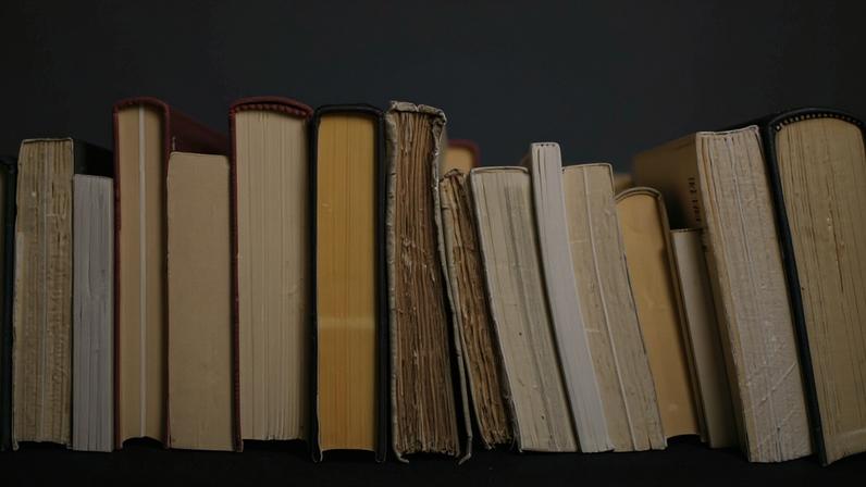 MEC Livros entre as obras mais lidas incluem Crime e Castigo, A Vegetariana e Harry Potter