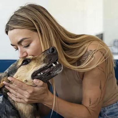 Guarda compartilhada de pets após separação pode trazer benefícios, aponta estudo