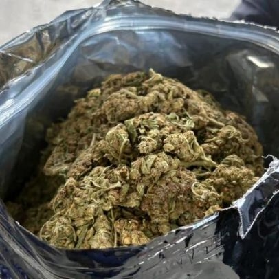Operação apreende quase meia tonelada de maconha hidropônica no RJ