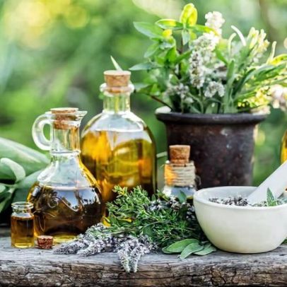 Menopausa: 6 plantas que ajudam o bem-estar feminino