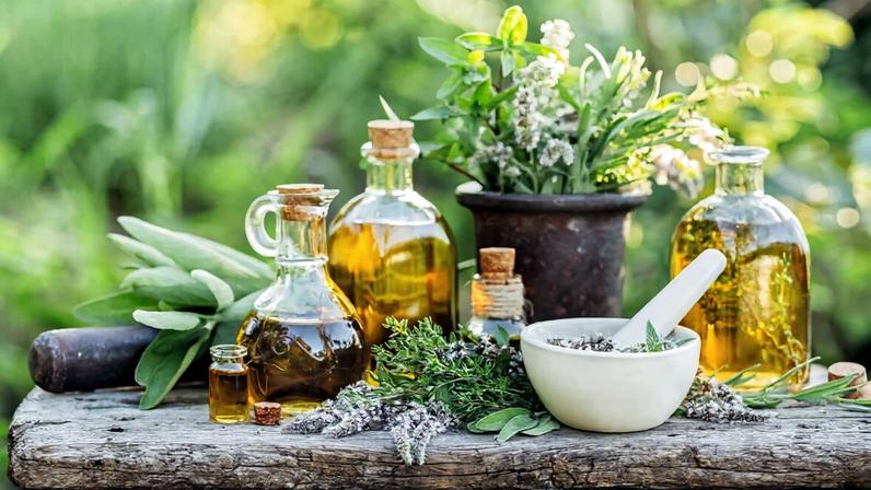 As plantas podem ser excelentes aliadas para aliviar os sintomas da menopausa