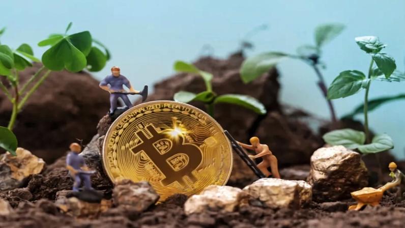 miniaturas de pessoas minerando bitcoin em meio a pedras e folhagens
