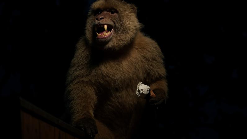 Um macaco-de-gibraltar comendo um sorvete que ele tomou das mãos de um turista