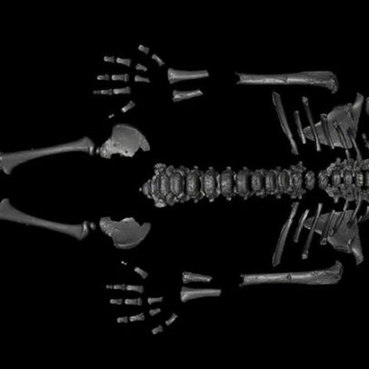 Crianças neandertais cresciam mais rápido que humanos modernos, aponta estudo