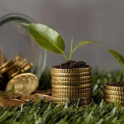 Medo de investir paralisa o crescimento do dinheiro