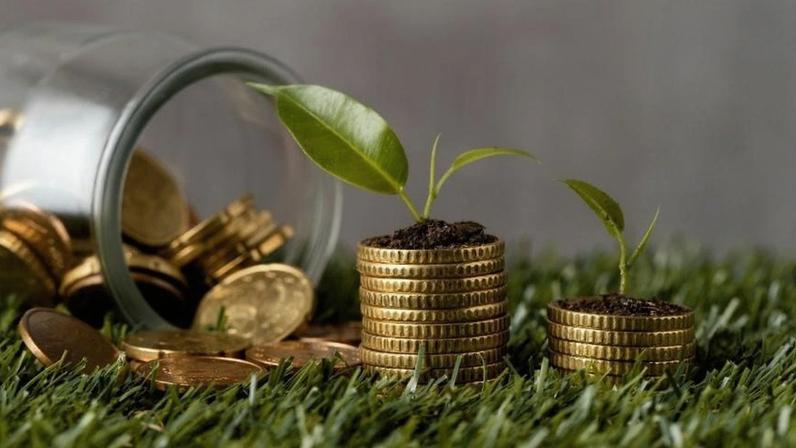 Prosperidade é menos sobre acumular e mais sobre circular com inteligência