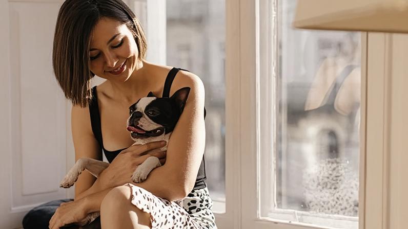 A nova lei garante a divisão da convivência de pets entre tutores após divórcio