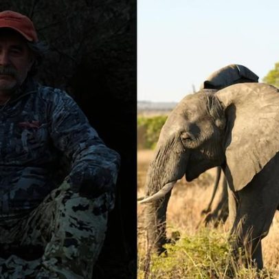 Caçador milionário morre após ataque de elefantes durante expedição