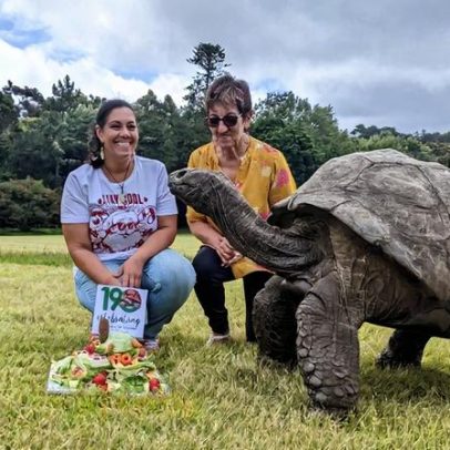 Jonathan, animal terrestre mais velho do mundo, morre aos 193 anos