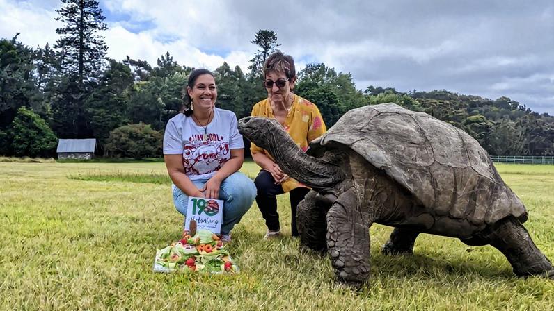 Jonathan, o animal terrestre mais velho do mundo, morreeu aos 193 anos