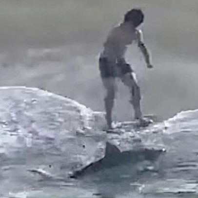 Pescador salta ao mar para salvar tubarão-branco; vídeo mostra ação