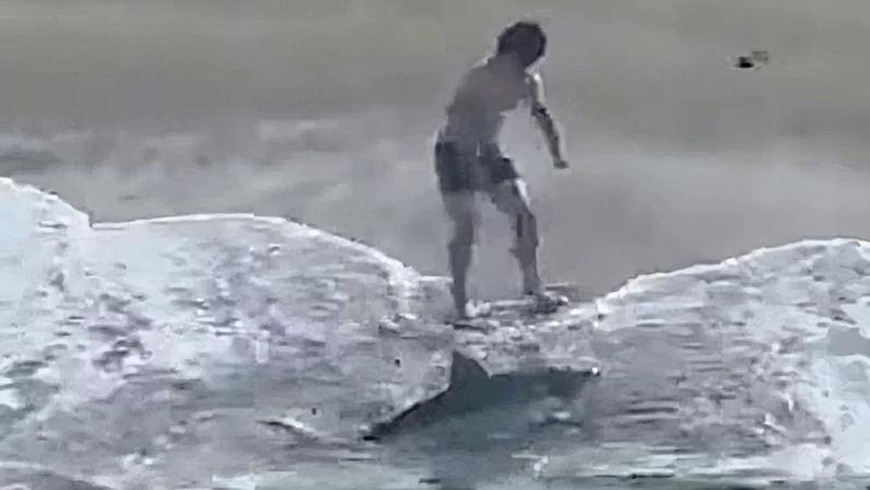 Pescador resgata tubarão-branco