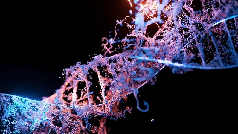 Gene que pesquisadores estudam para identificar transtornos mentais.