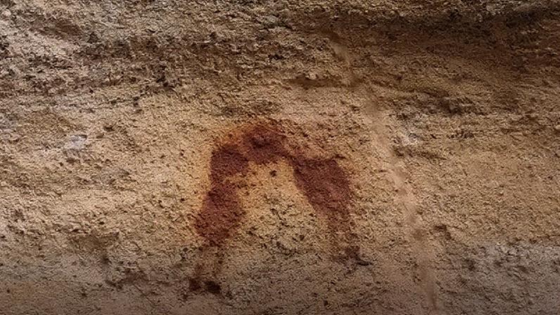 O Beijo: pintura rupestre brasileira é registro mais antigo de um beijo na história da humanidade