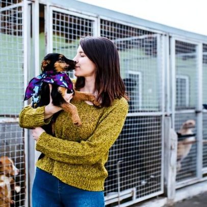 Oito em cada dez pets adotados no Brasil vêm de resgates de rua