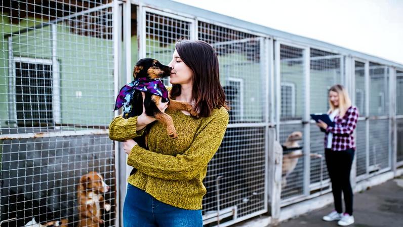 Oito em cada dez pets adotados no Brasil vêm de resgates de rua