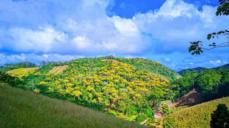 Paisagem rural de Santa Maria de Jetibá, com colinas verdes e propriedades agrícolas